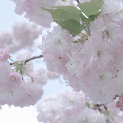 平凉FurryQQ群介绍